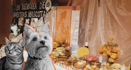 ¿Cuándo se celebra el Día de Muertos para mascotas en México y cómo se prepara el altar?