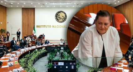 INE impugnará ante la SCJN reforma que otorga mayores atribuciones a Taddei