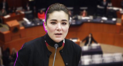 Elección Judicial: Consejera del INE brinda detalles sobre la notificación del TEPJF
