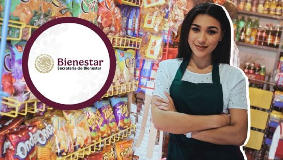 ¿Qué son las Tiendas Bienestar y cuándo abrirán?
