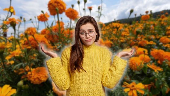 ¿No sabes qué hacer con tus flores de cempasúchil? CDMX abre centros de reciclaje en estas alcaldías