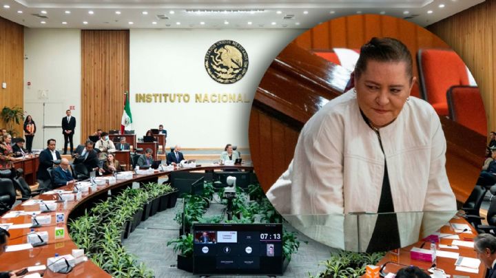 INE impugnará ante la SCJN reforma que otorga mayores atribuciones a Taddei