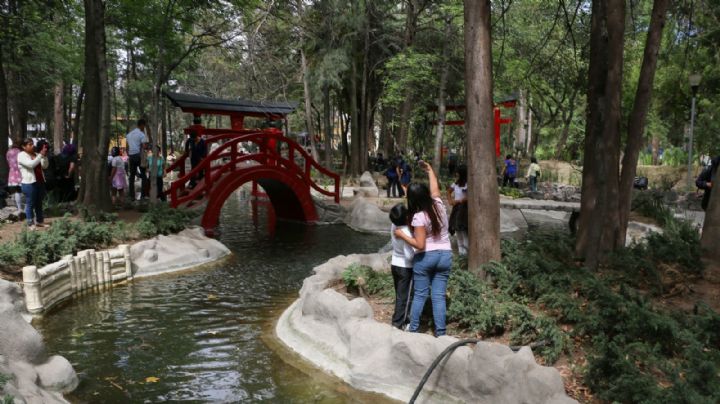 Conoce el Parque Masayoshi Ohira, un jardín japonés en CDMX que debes visitar