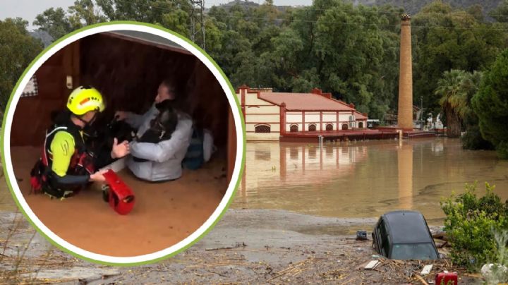 La DANA deja a España bajo el agua; hay varios muertos y desaparecidos |VIDEOS