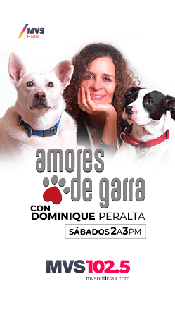 Amores de Garra