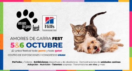 Amores de Garra Fest: voces expertas compartirán claves para el cuidado de mascotas