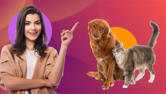 ¿Cuánto te cuesta consentir a tu mascota?, Condusef te lo dice